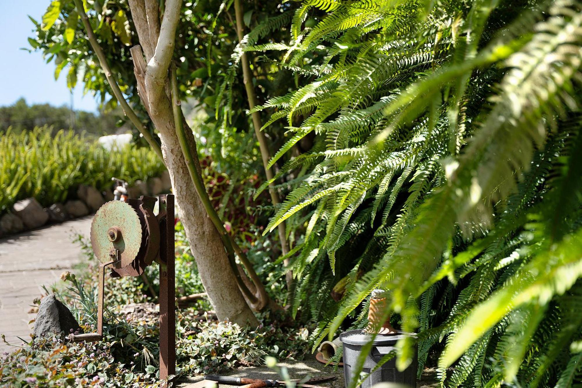 Casa Rural Medina 2 San Sebastián de la Gomera Екстериор снимка